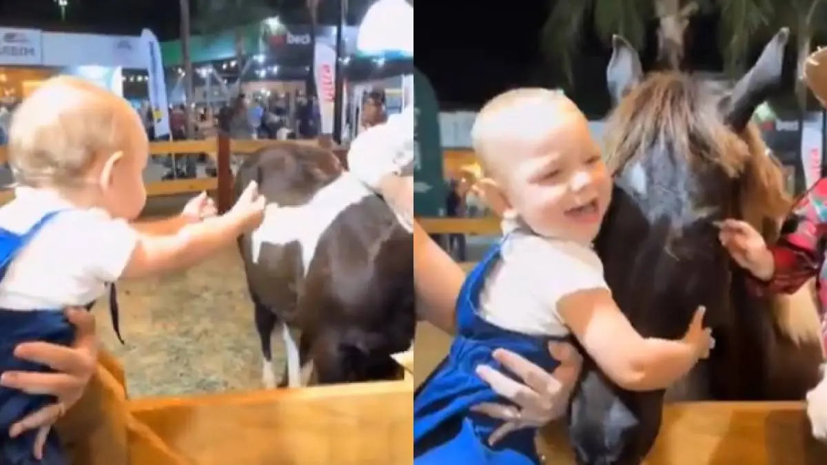 Viral Video of boy hugging horse