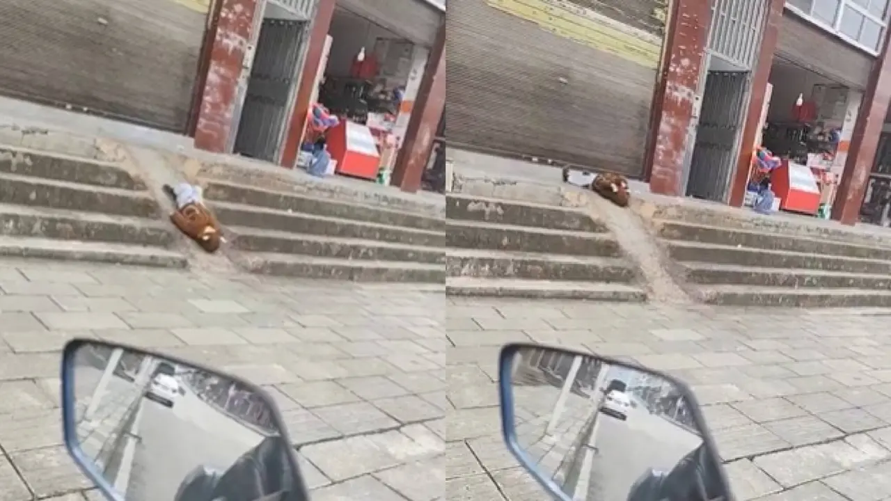 Viral Video of child playing