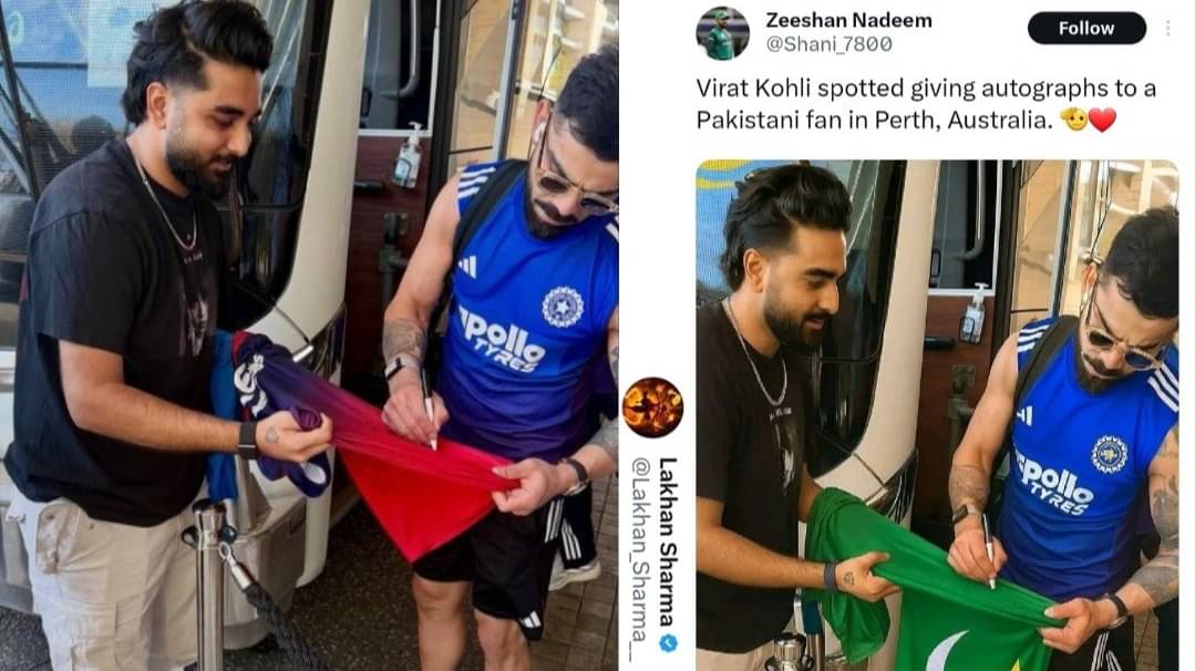 Description of the pic