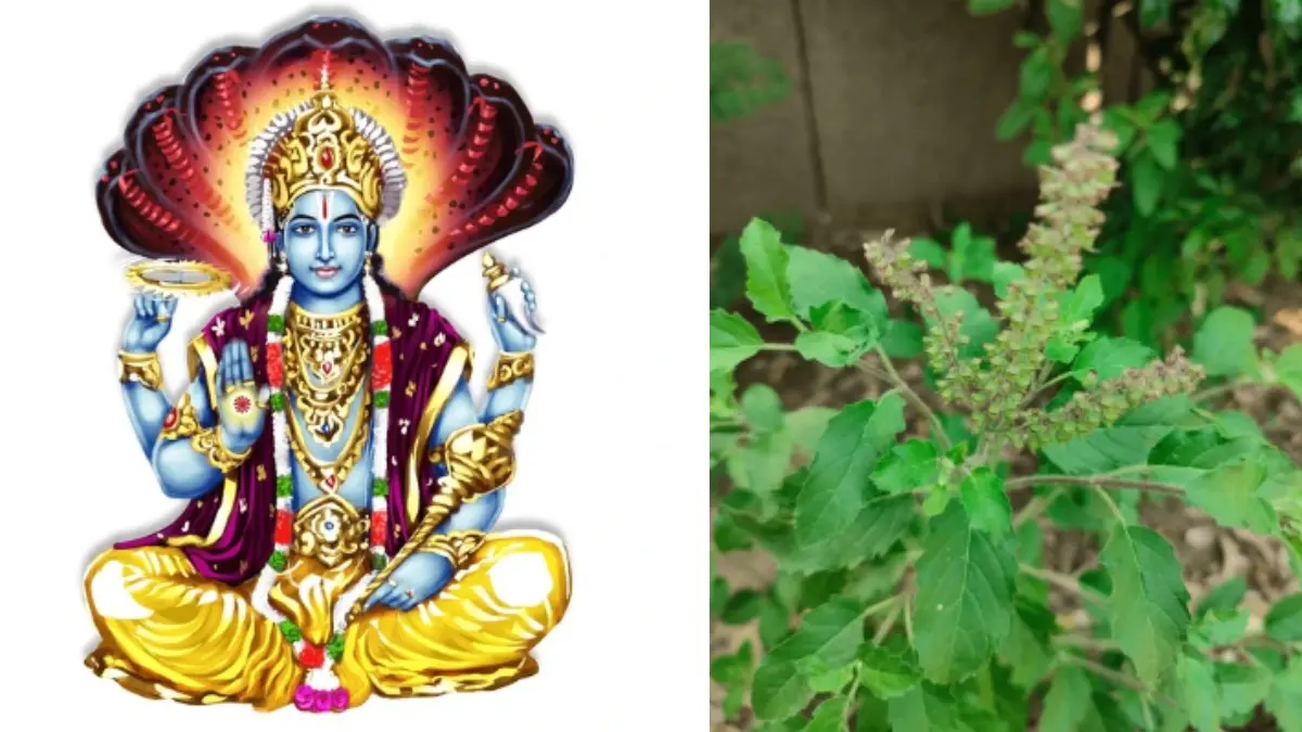 Vishnu tulsi