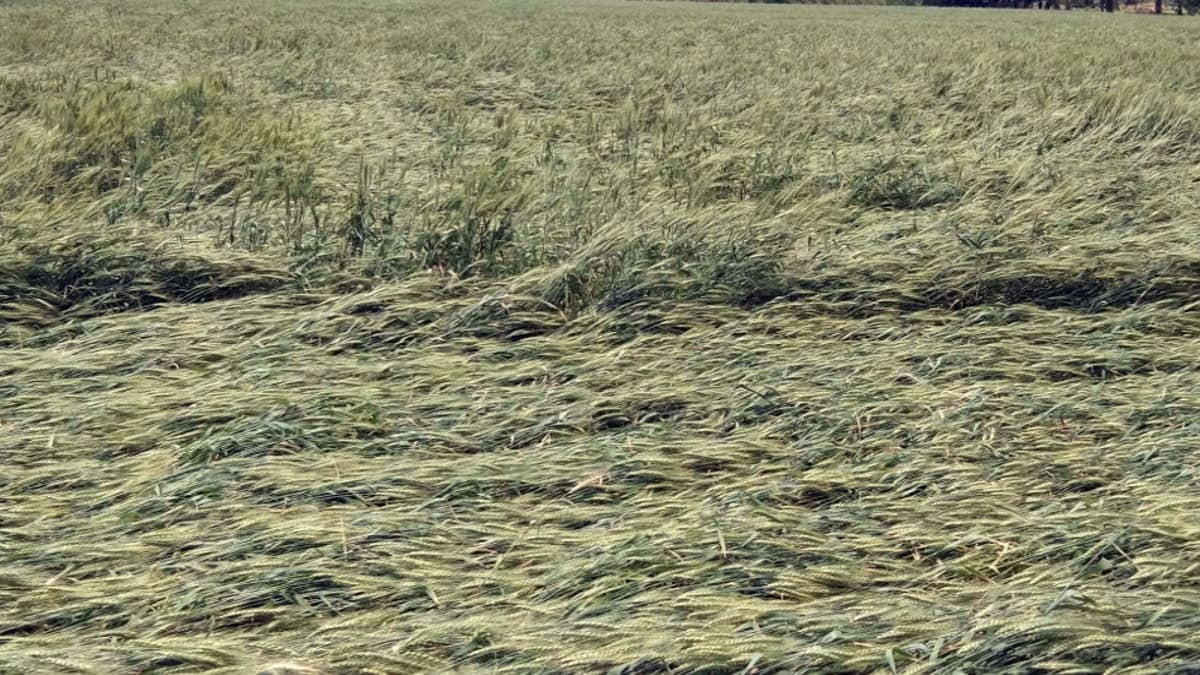 Republic World - Business - News Image