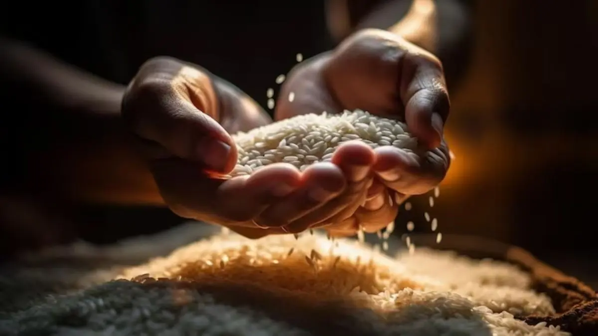 Vrishchik Sankranti 2025 Daan