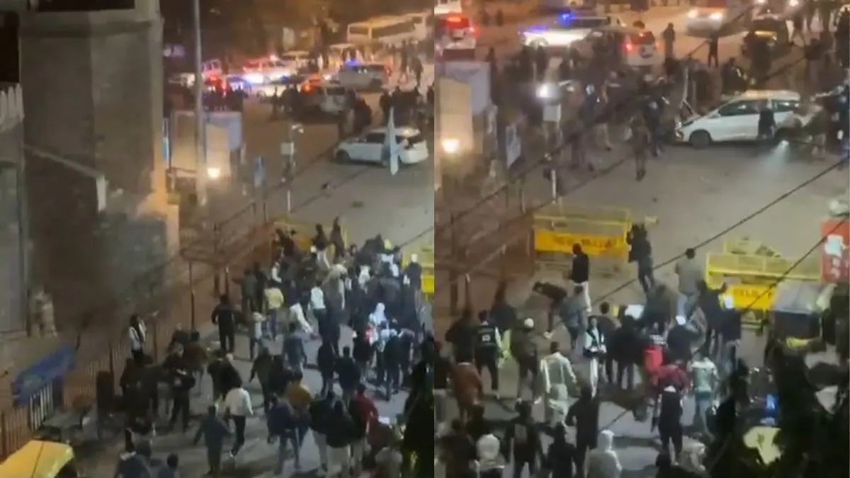 'Waah Mere Shero': Protesters Celebrate After Pelting Stones At Cops During Demolition Drive in Delhi Turkman Gate, Shocking Video Surfaces