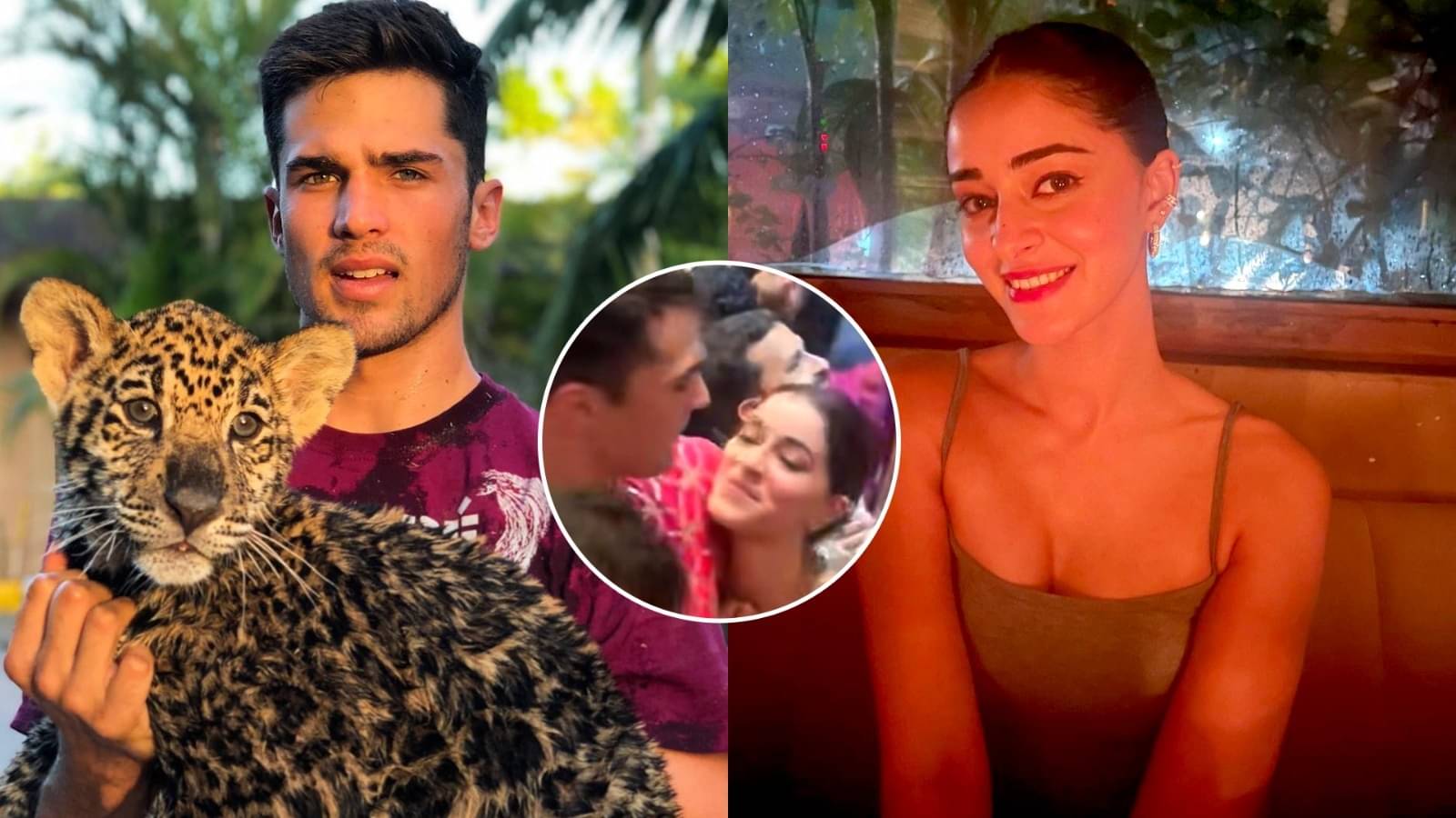 Description of the pic