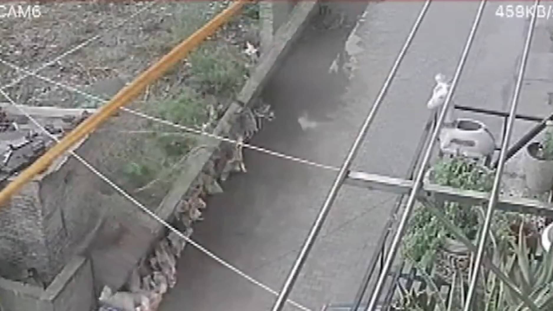 Wall Collapses In Delhi S Vasant Kunj Amid Heavy Rains Republic World Wall Collapses In Delhi S Vasant Kunj Amid Heavy Rains Republic World
