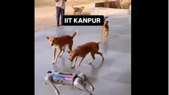 WATCH: Stray Dogs Meet Robotic Dog at IIT Kanpur In Heartwarming Video