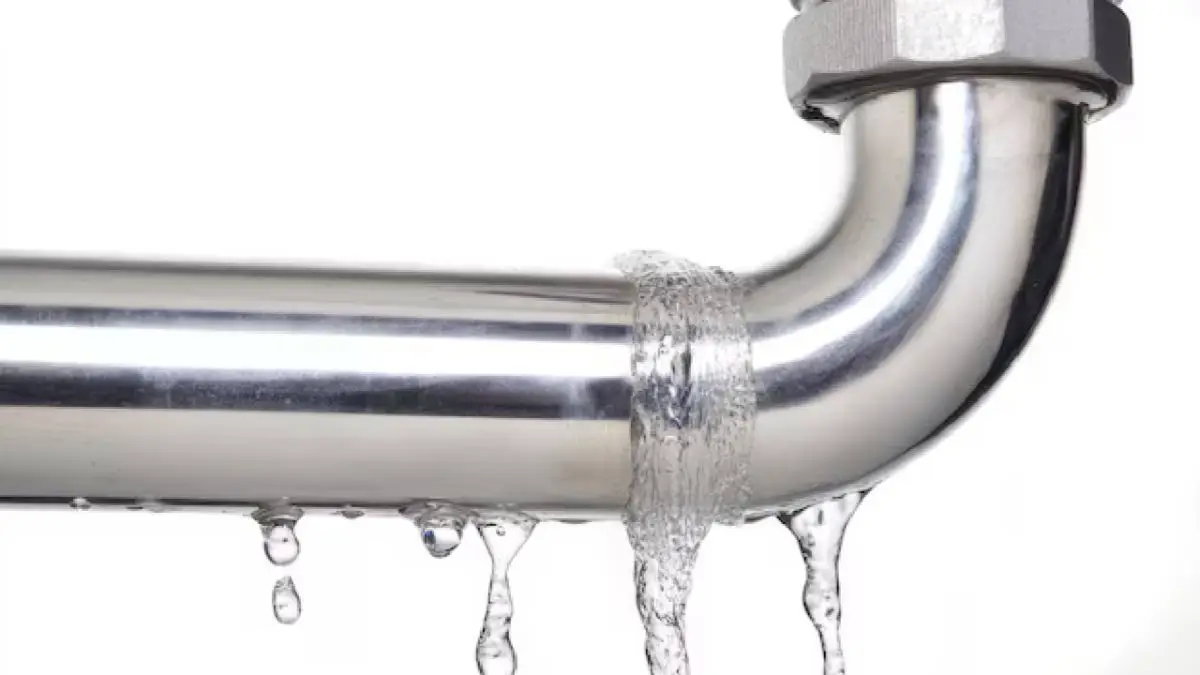 Description of the pic