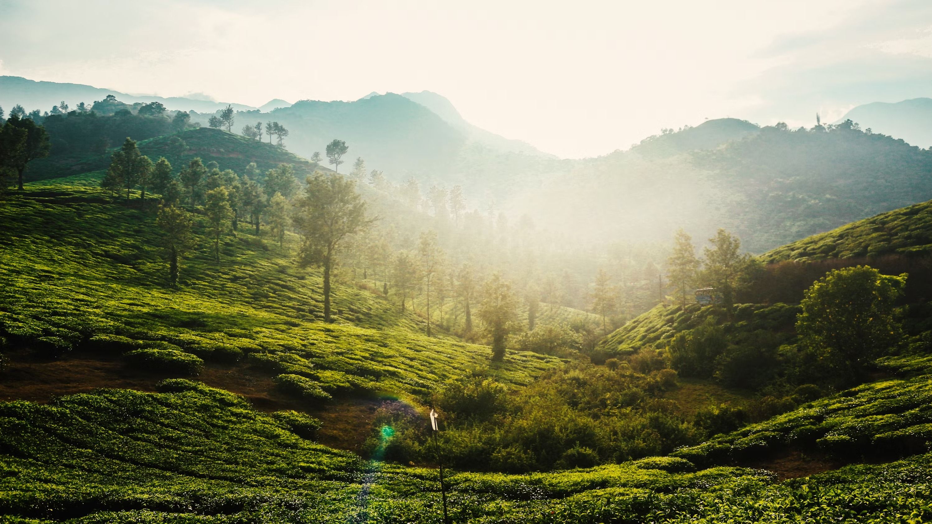 Wayanad  Just over the border in Kerala, Wayanad is around 280 kilometers from Bangalore. The monsoon season transforms Wayanad into a lush green haven with misty hills and cascading waterfalls. The Edakkal Caves, Banasura Sagar Dam, and Meenmutty Falls are must-visit spots that become even more enchanting during the rains.