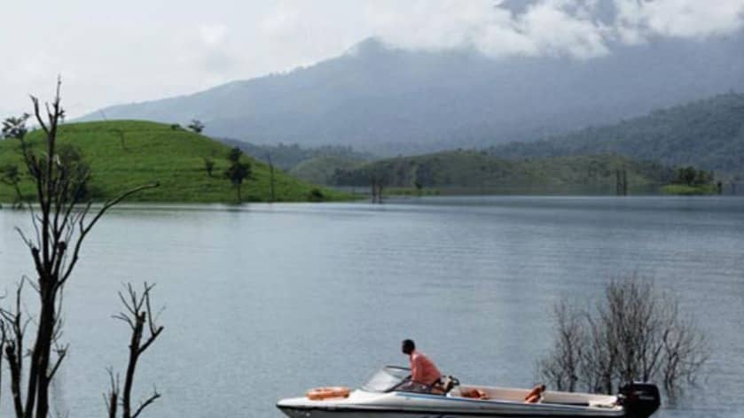 Description of the pic