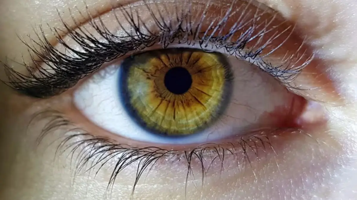 New Stem Cell Therapy Trial Offers Hope for Millions Living with Untreatable Advanced Dry Macular Degeneration