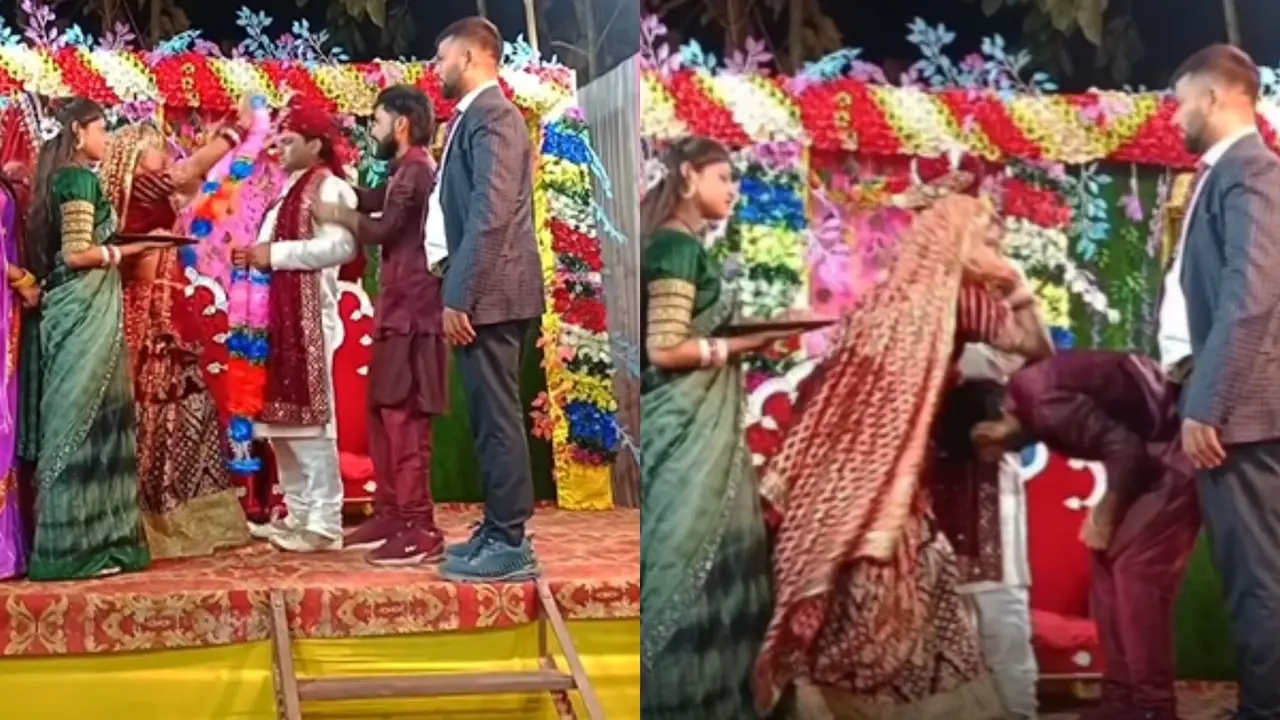 Wedding Viral Video
