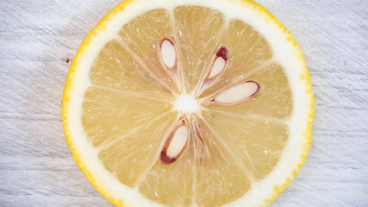 What if I accidentally swallow a Lemon Seeds