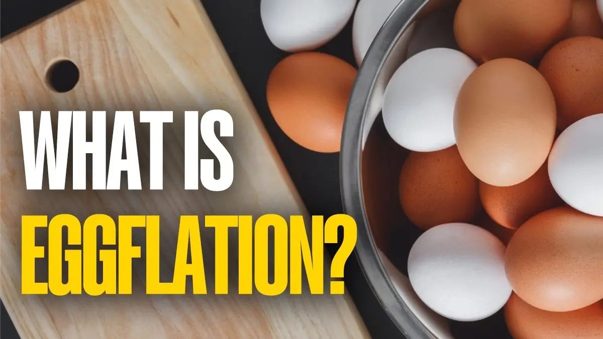 What is Eggflation? US consumers shell-shocked as egg prices hit a record high