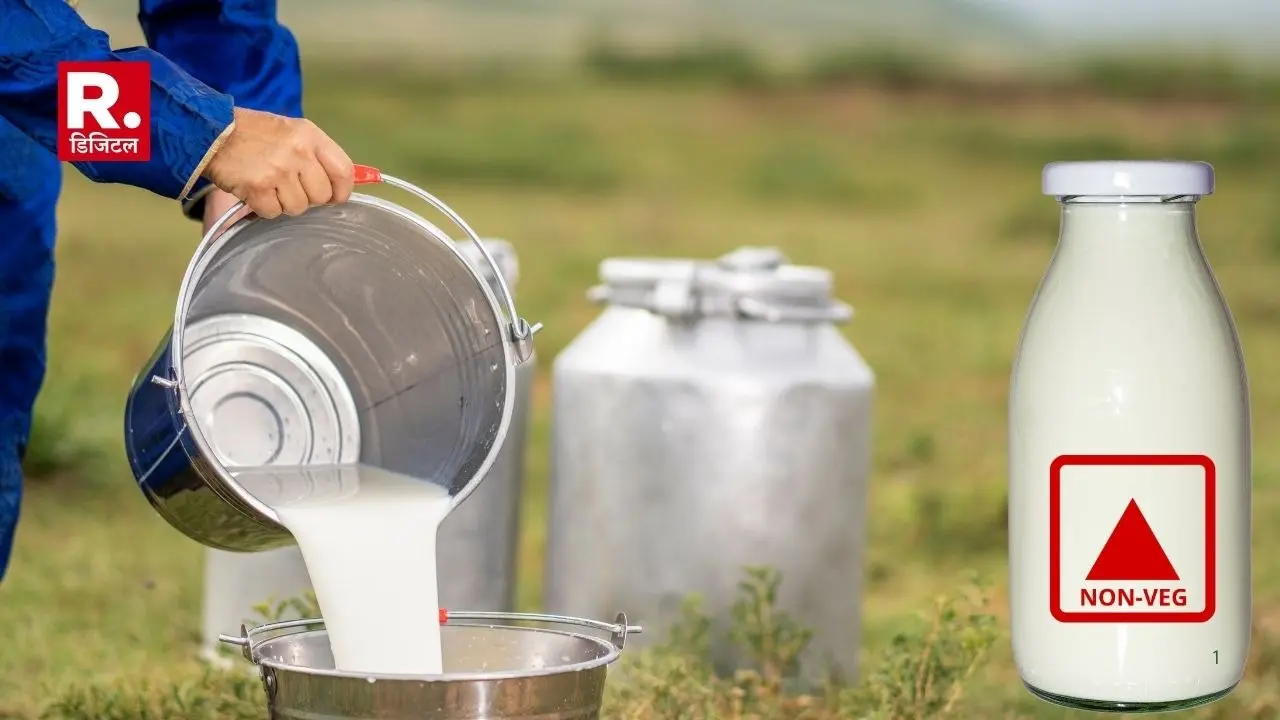 What is non veg milk?