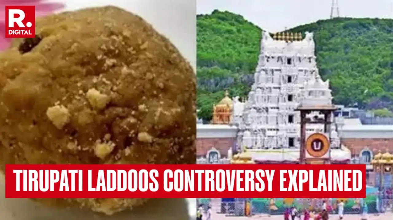 Tirupati Laddoos Controversy: What Was Found In Adulterated Ghee, Who Is At Fault? Explained