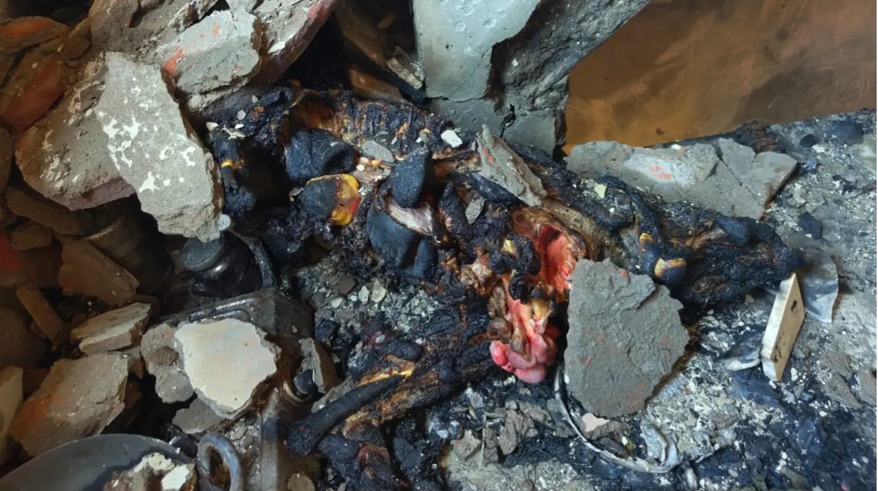 Massive Fire in Delhi’s Motia Khan After LPG Cylinder Blast; One Dead Massive Fire in Delhi’s Motia Khan, LPG Cylinder Blast Worsens Blaze; One Body Recovered