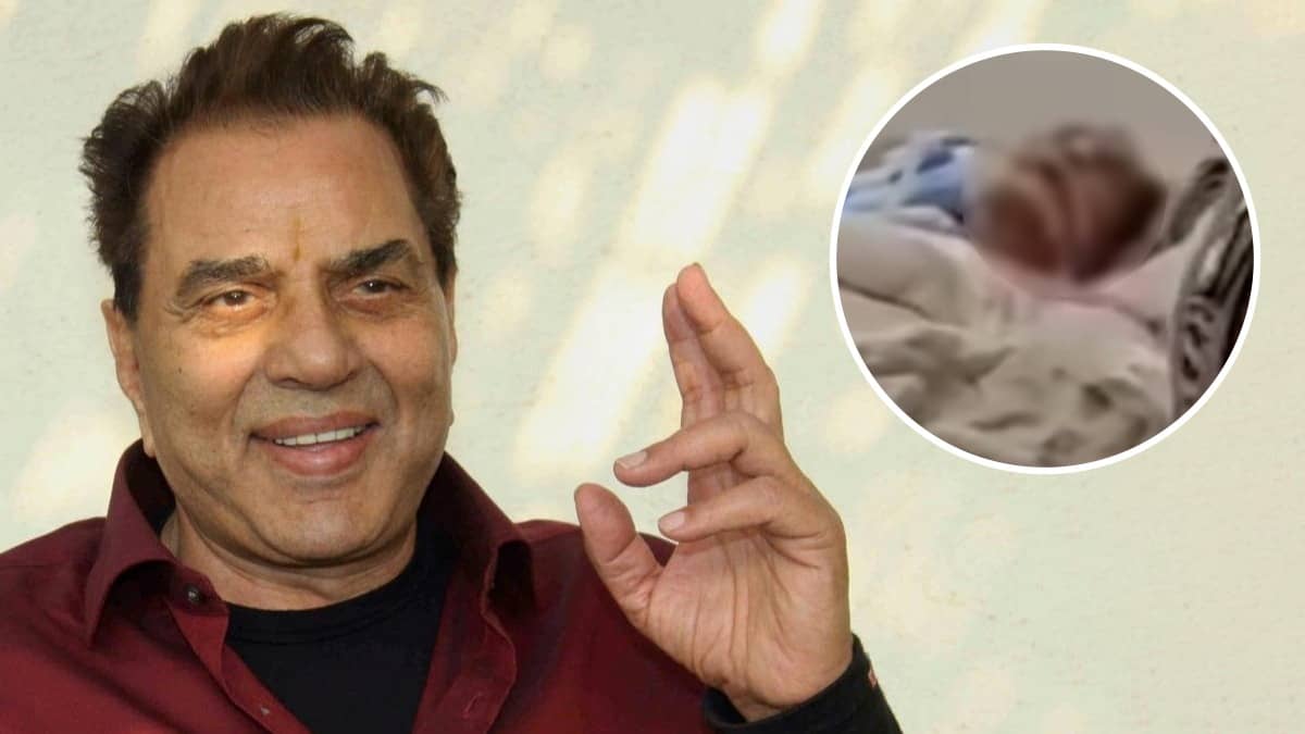 Description of the pic