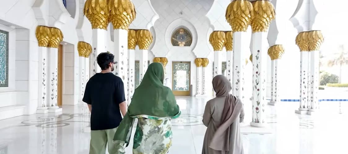 Description of the pic