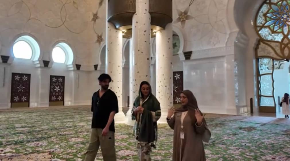 Description of the pic