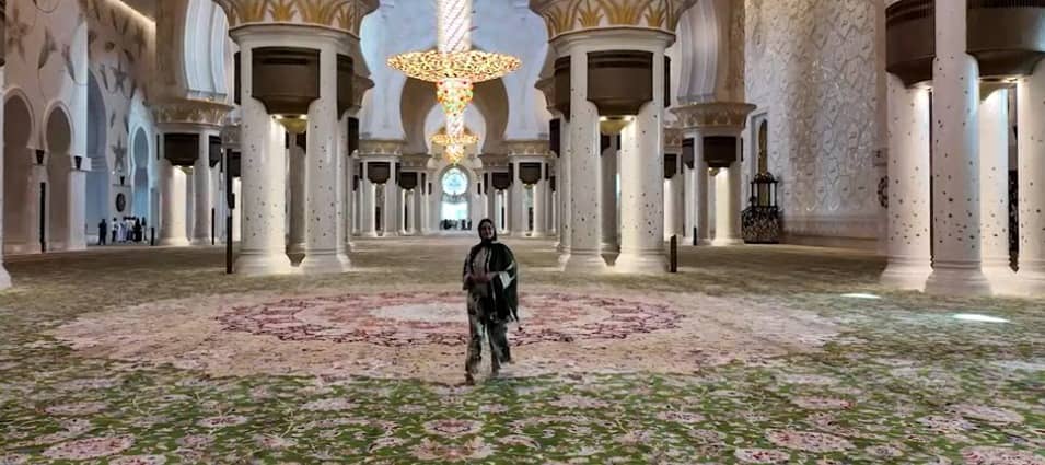 Description of the pic