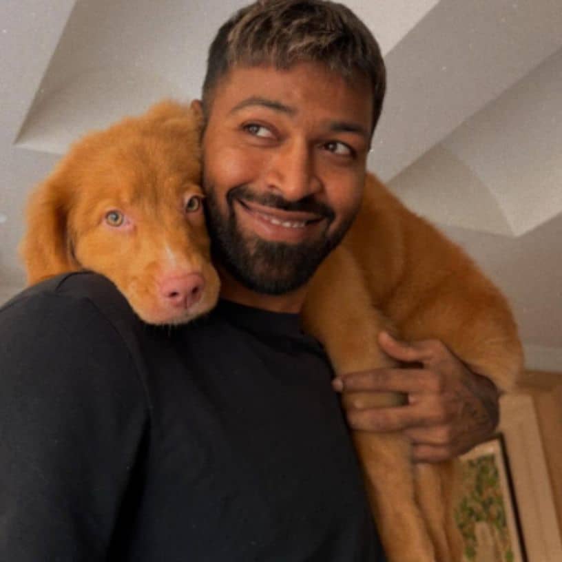 Description of the pic