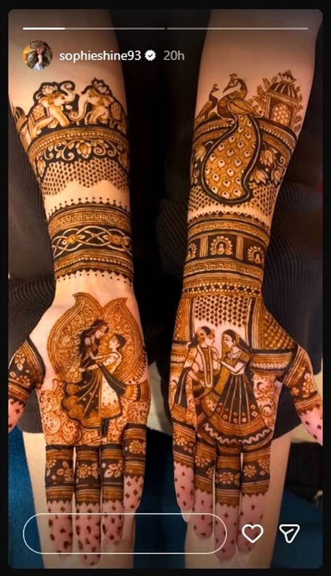 Description of the pic