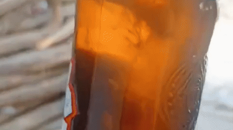 Is There a Lizard in Budweiser? Shocking Claim by Telangana Man Goes