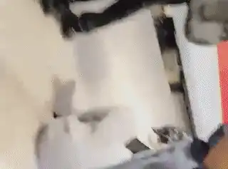 Multiple Videos Capture Extent Of Crowd At New Delhi Railway Station LIVE: Rush At New Delhi Railway Station Leads To Chaos, Emergency Responders Pressed