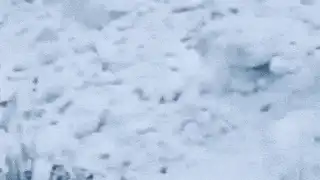 Avalanche Strikes Beighpura Kamasui Kedna Amid Heavy Snowfall in Jammu's Kishtwar | WATCH Avalanche Strikes Beighpura Kamasui Kedna Amid Heavy Snowfall in Jammu's Kishtwar | WATCH