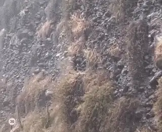 Close Shave! Moving Car Dodges Landslide on Kullu-Manali Highway | WATCH