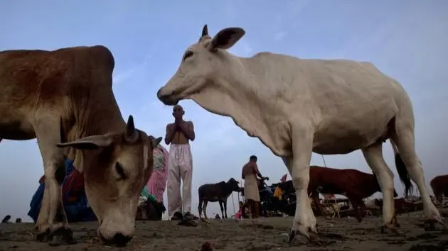 Where Beef is Banned in India: State Wise List