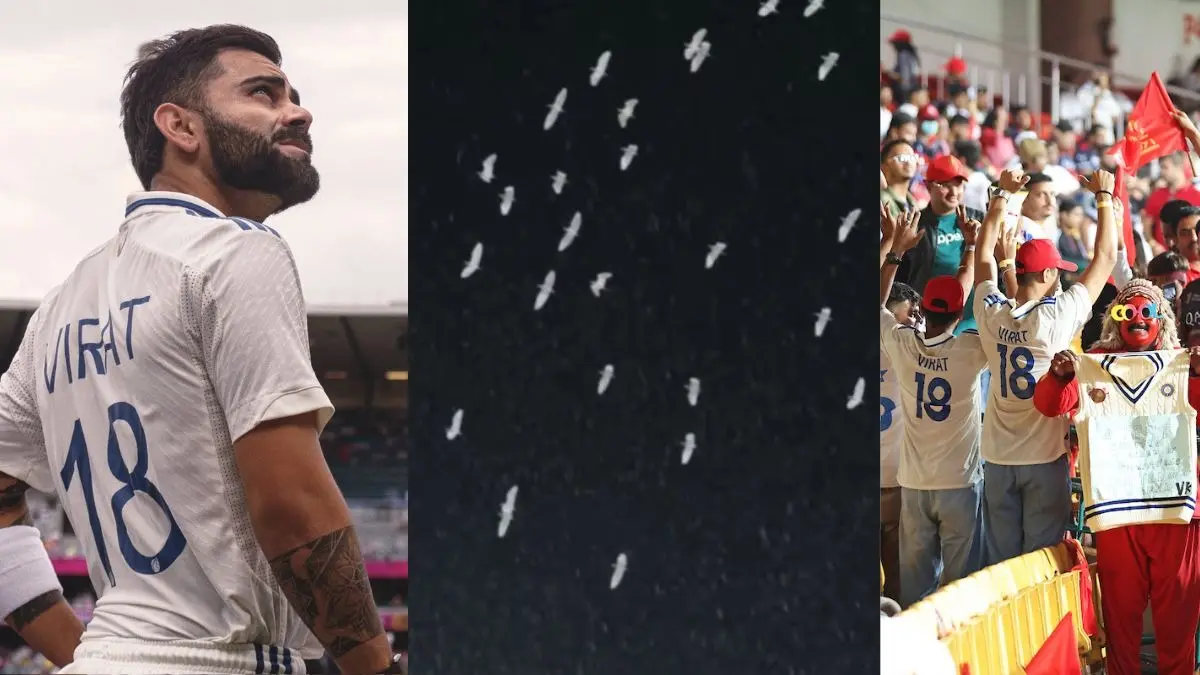 White birds flying in m Chinnaswamy stadium to tribute virat kohli special video viral during kkr vs rcb match
