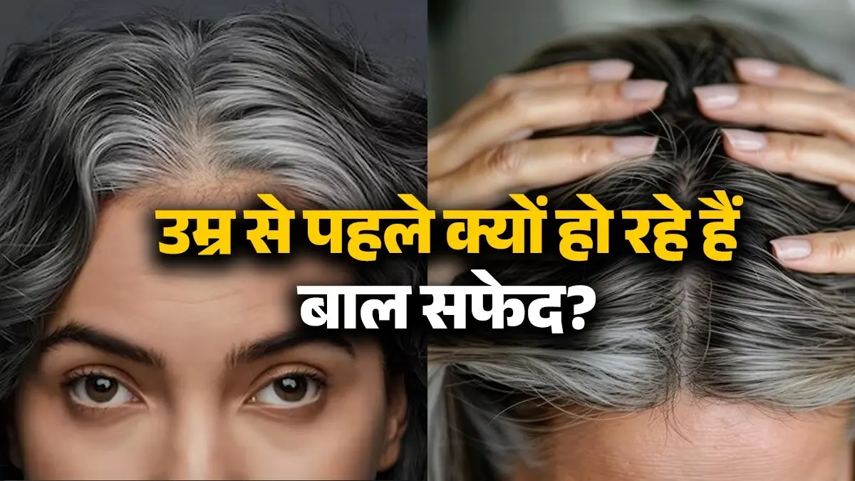 White Hair: उम्र से पहले क्यों हो रहे हैं बाल सफेद? ये 4 चौंकाने वाली वजहें जान रह जाएंगे दंग White Hair