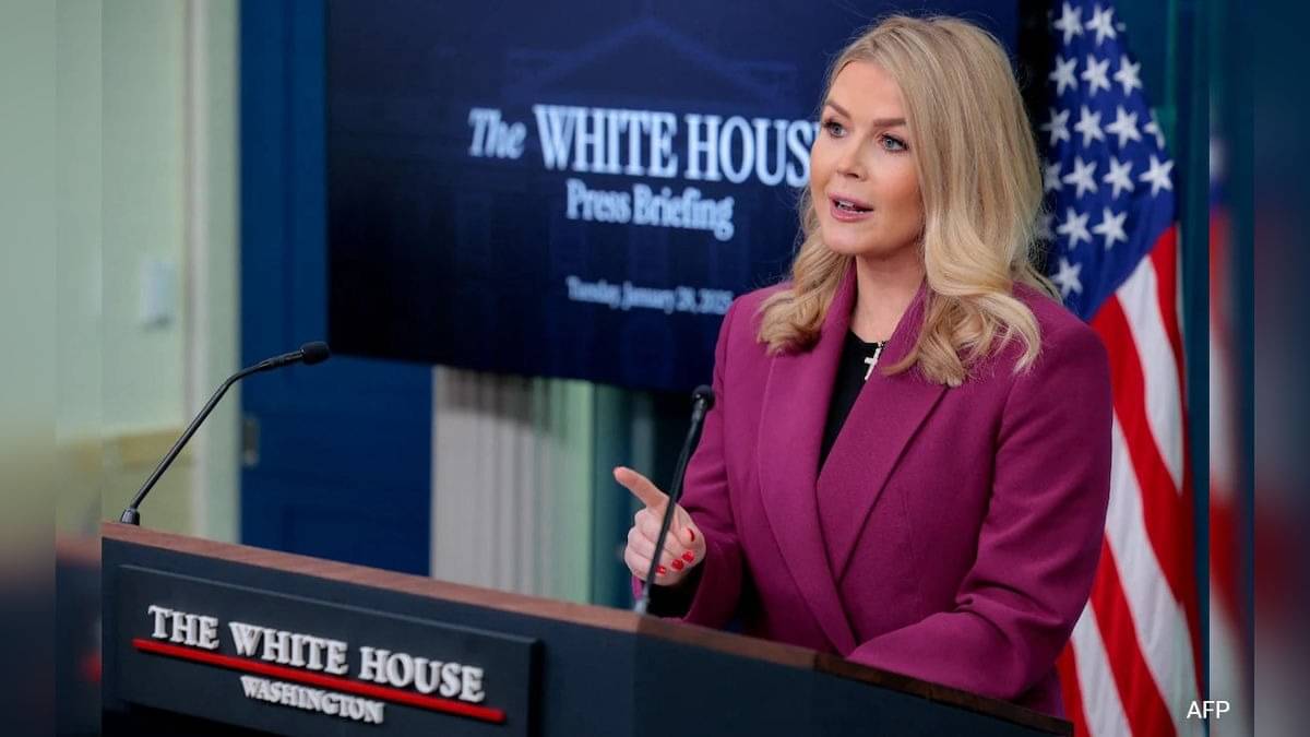 Military Action 'Always An Option', Says White House As Trump Eyes Greenland Takeover