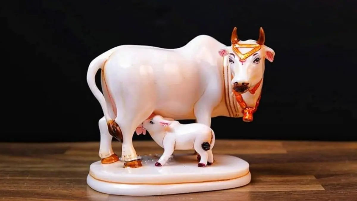 White Marble Kamdhenu