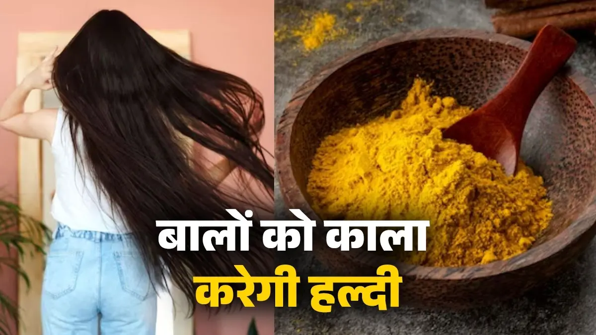 Hair Colour Without Dye: घर की किचन में मौजूद हल्दी करेगी बालों को जड़ से काला, जान लें इस्तेमाल करने का तरीका, बाल दिखेंगे शाइनी white to black hair treatment using turmeric gharelu nuskha