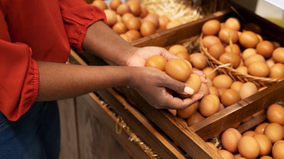 Description of the pic