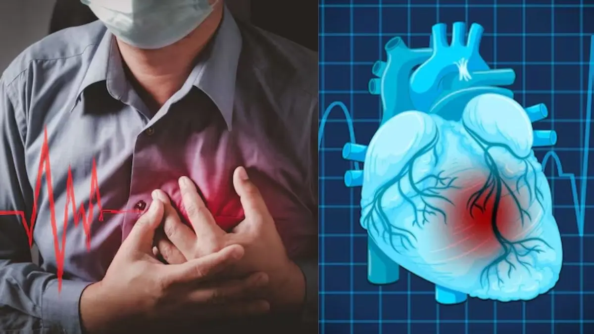 Ultra-Processed Foods Linked To Higher Heart Disease And Death Risk, Warns New Cardiology Report Ultra-Processed Foods Linked To Higher Heart Disease And Death Risk, Warns New Cardiology Report