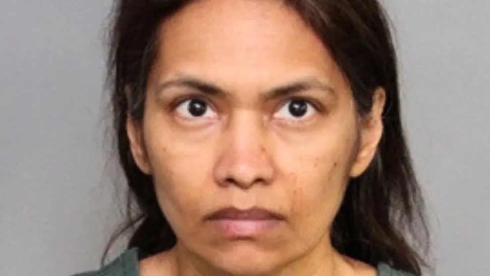 Why Indian-Origin Woman Killed Her 11-Year-Old Son During Disney Trip, Chilling Details Emerge