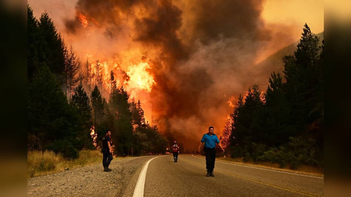 Wildfires in South Argentina Rip Through Nearly 12,000 Hectares of Forest, Threatening Communities