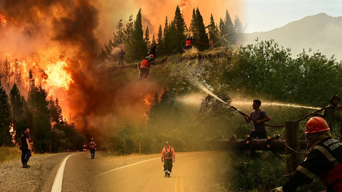 Wildfires in South Argentina Rip Through Nearly 12,000 Hectares of Forest, Threatening Communities
