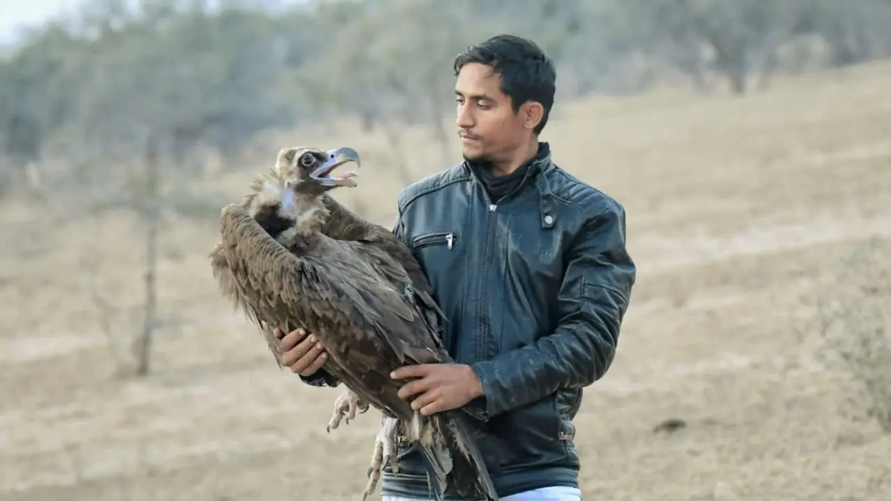 Wildlife Conservationist Radheshyam Bishnoi Among 4 Dead As Camper Collides With Truck In Rajasthan's Lathi