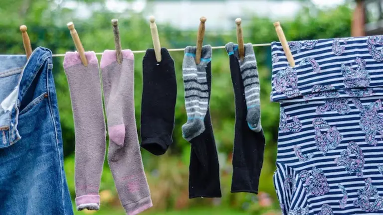 Winter Clothes Drying Tips: सर्दियों में वॉशिंग के बाद जल्दी नहीं सूखते हैं कपड़े? अपनाएं ये आसान घरेलू ट्रिक्स winter clothes drying tips