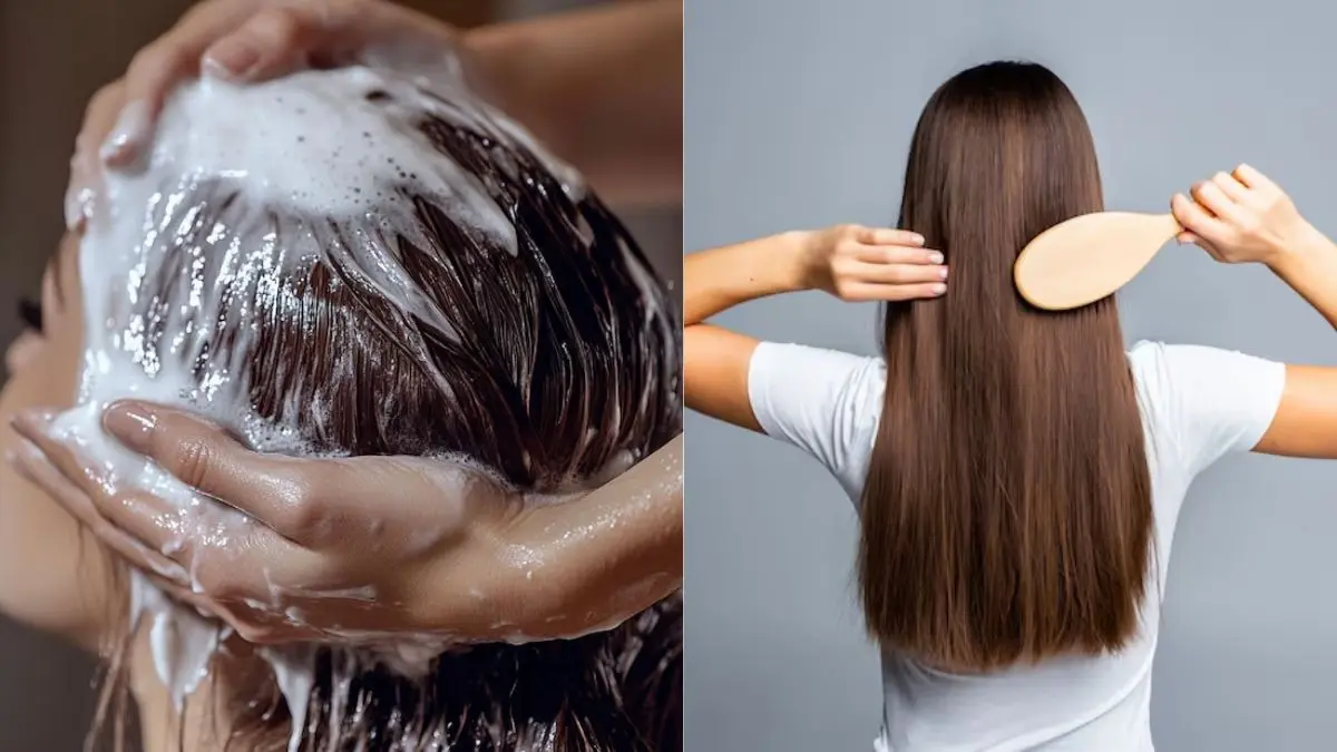 Chaach for Healthy Hair: हेयर फॉल से डैंड्रफ तक... हर समस्या का सस्ता घरेलू इलाज है छाछ, जान लें इस्तेमाल का सही तरीका Chaach for Healthy Hair