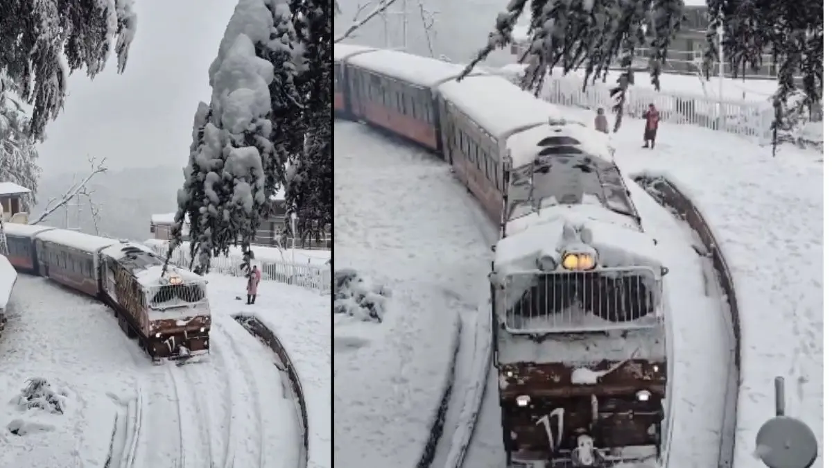 Winter Magic on Tracks: Fresh Snowfall Turns Shimla-Kalka Heritage Train Journey Into a Winter Wonder | WATCH
