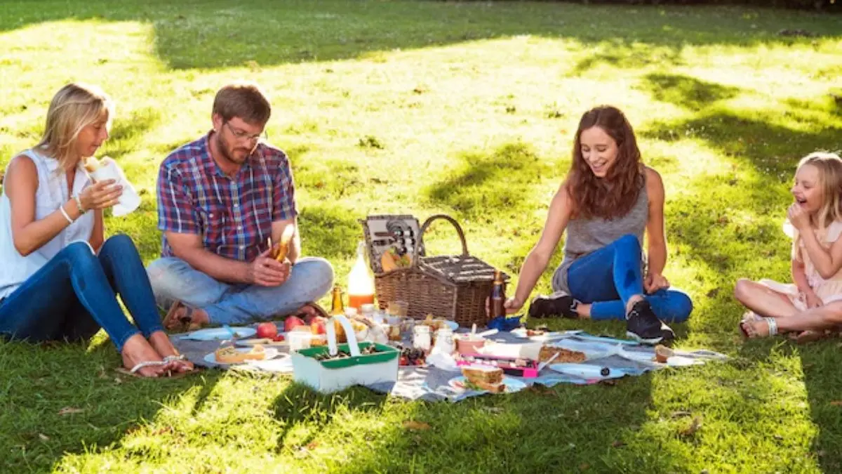 Winter Picnic Celebration Ideas