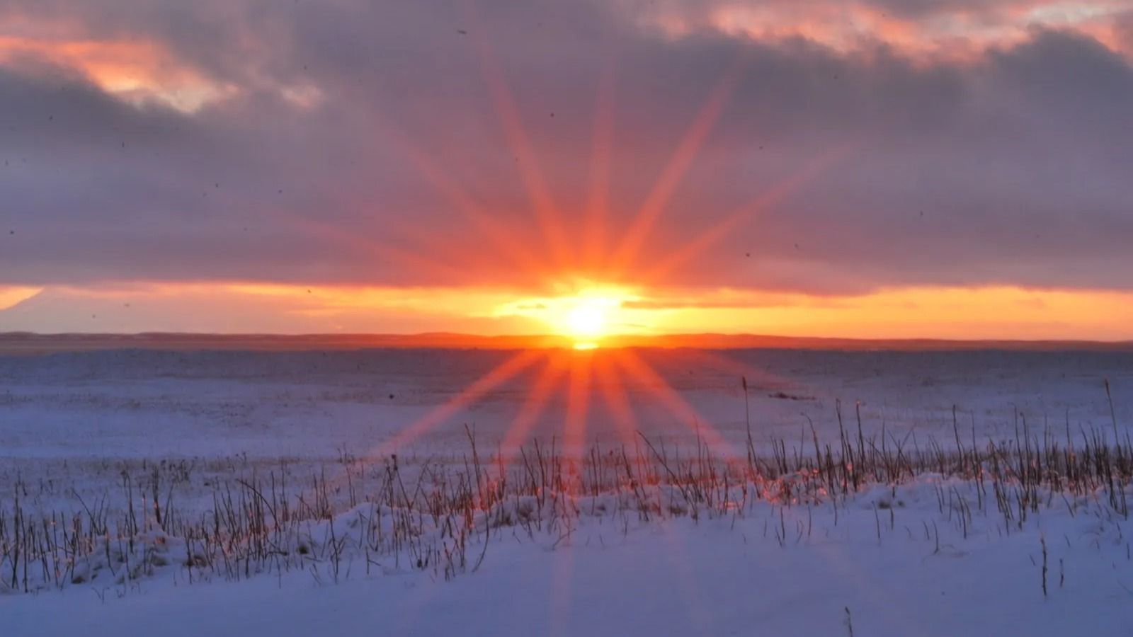 Winter Solstice 2024: Know When To Witness The Shortest Day And Longest ...