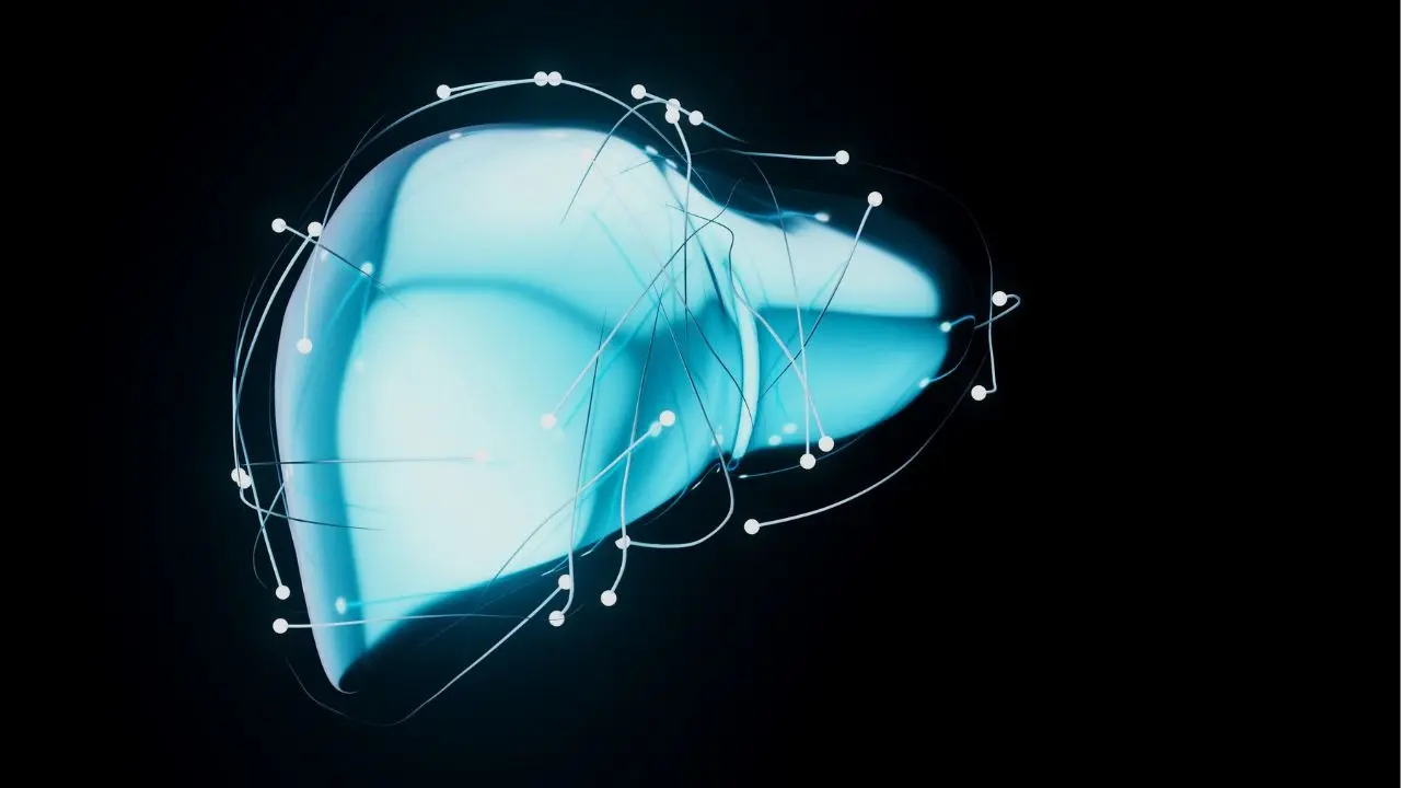 World Hepatitis Day 2025: Fatal? Genetic? Spreads Through Touch? Let’s Debunk Common Misconceptions Around The Dreaded Virus World Hepatitis Day 2025