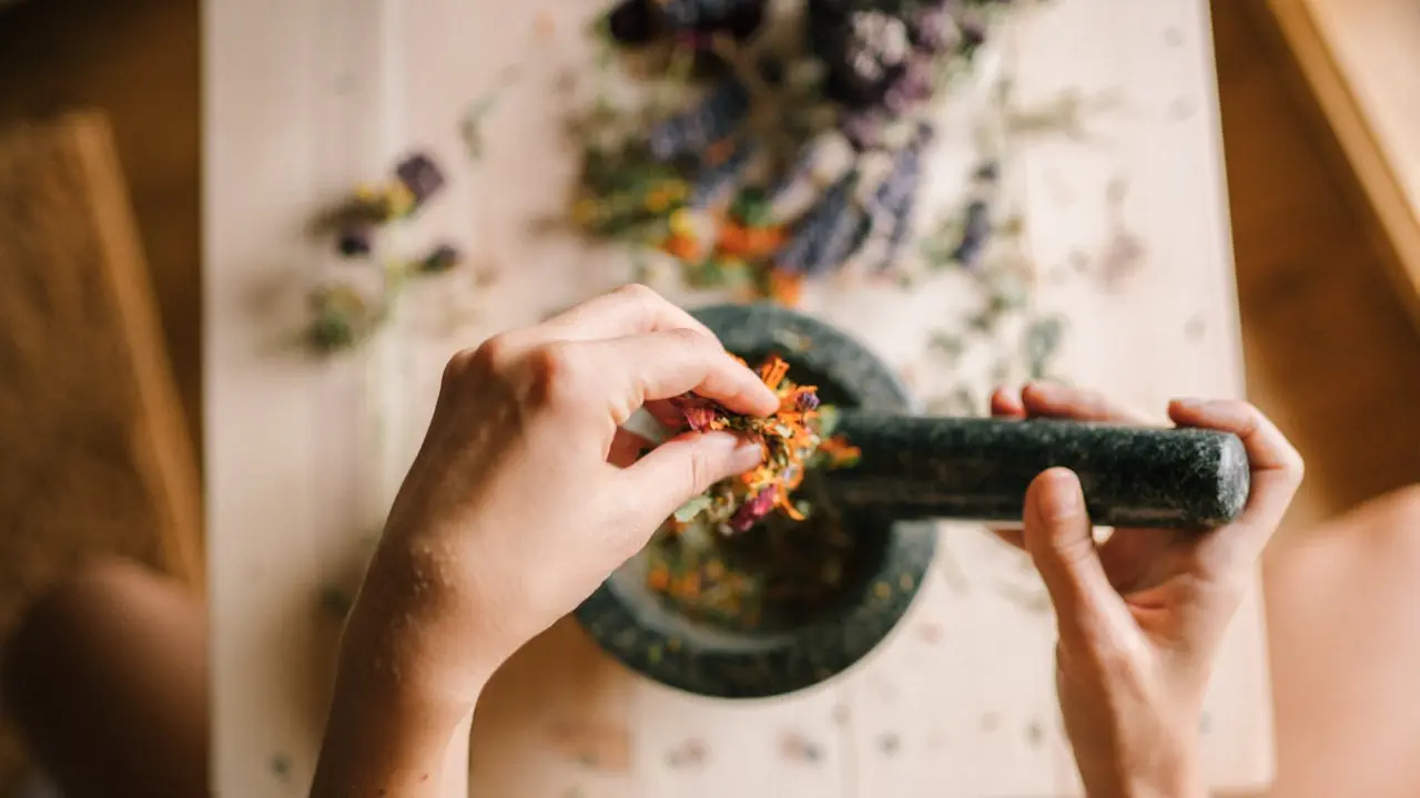 World Homeopathy Day.