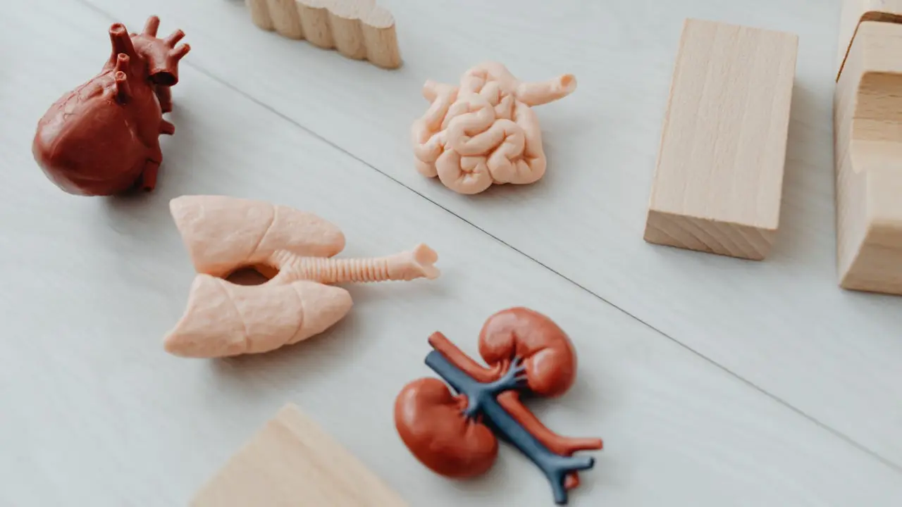 World Kidney Day 2025.